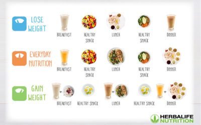 Meal plan for weight management 2022