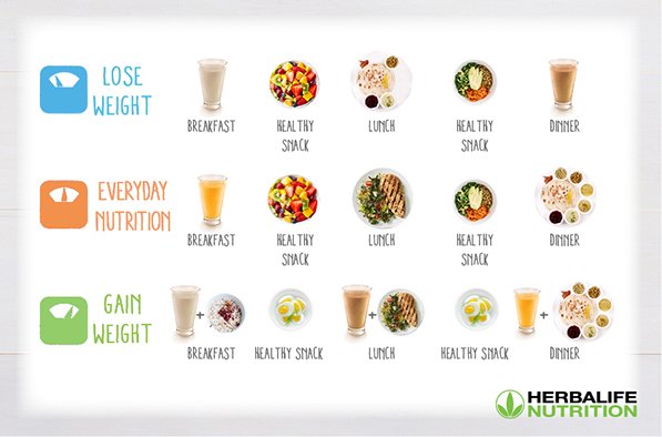 Meal plan for weight management 2022